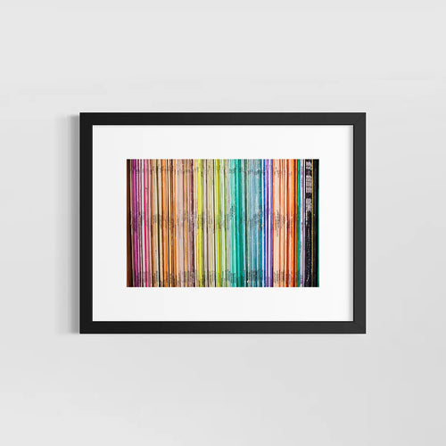 Color Coded Bruton Spines