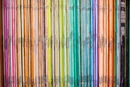 Color Coded Bruton Spines